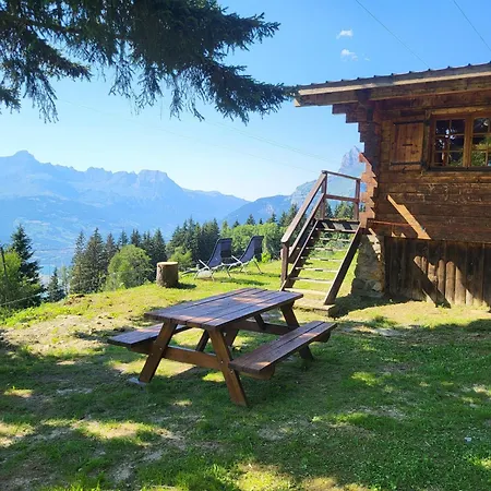 D'alpage Avec Vue Incroyable *
