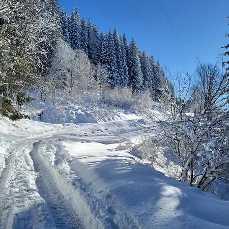 D'alpage Avec Vue Incroyable Chalet