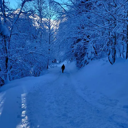 D'alpage Avec Vue Incroyable Chalet