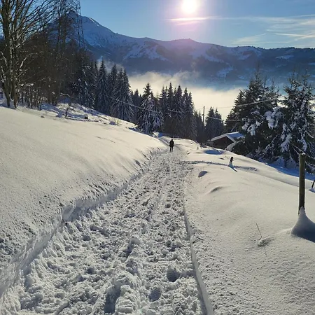 Chalet D'alpage Avec Vue Incroyable *